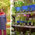 Meet the Sainik Farms Couple Keeping Delhi’s Air Clean with Aquaponics