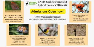 Calling All Nature Enthusiasts! Wildlife Courses 2025–26 Open for Registration