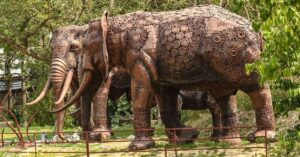Turning Trash into Trails: Noida’s Jungle of Hope Grows from 500 Tonnes of Waste